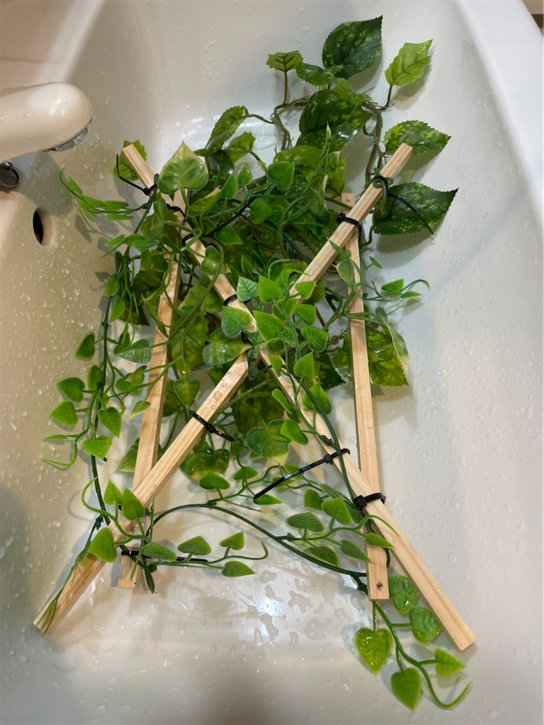 f:id:fandk1017:20210814203120j:image f:id:fandk1017:20210814203120j:image