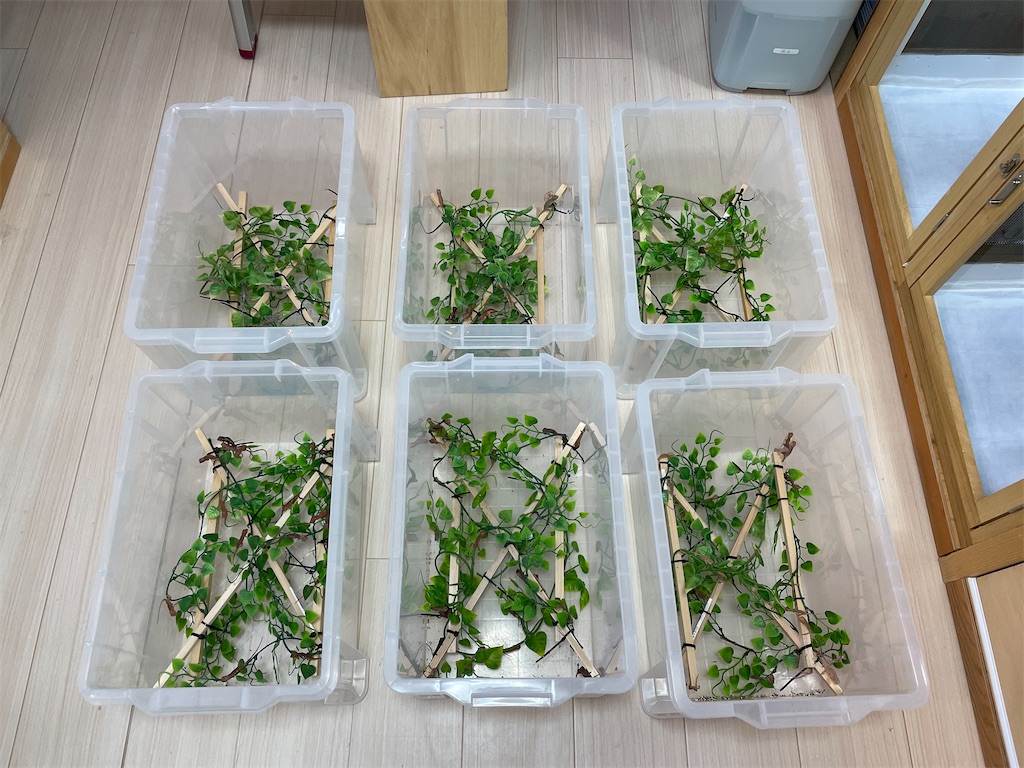 f:id:fandk1017:20211222165115j:image f:id:fandk1017:20211222165115j:image