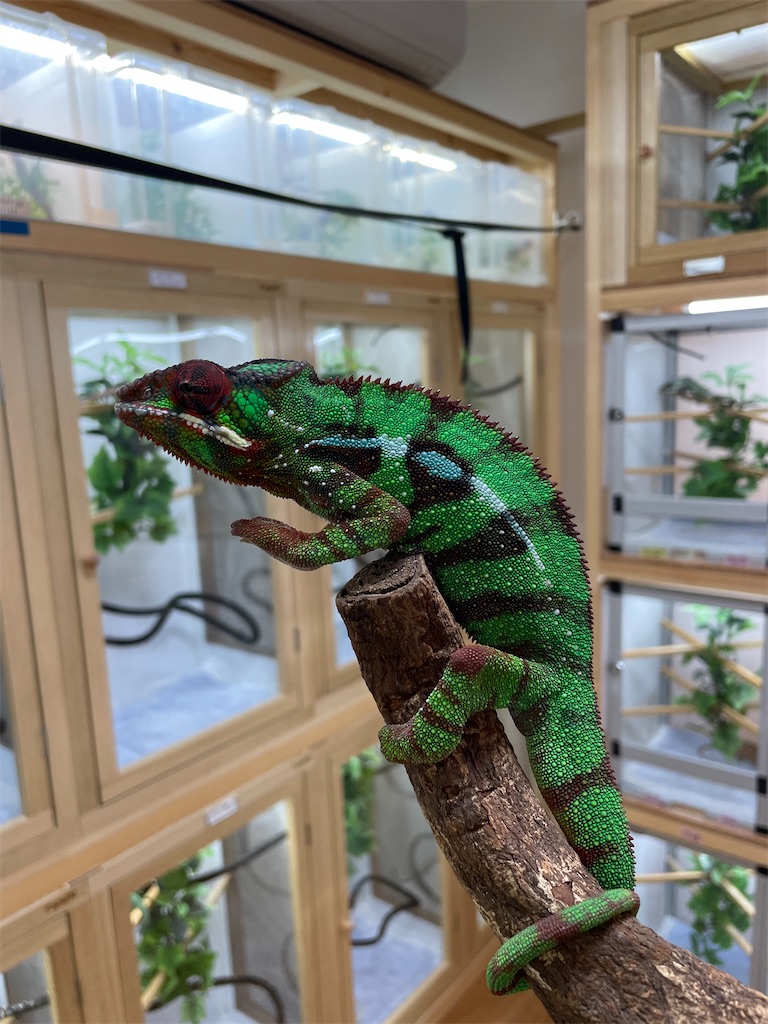 f:id:fandk1017:20231023152319j:image