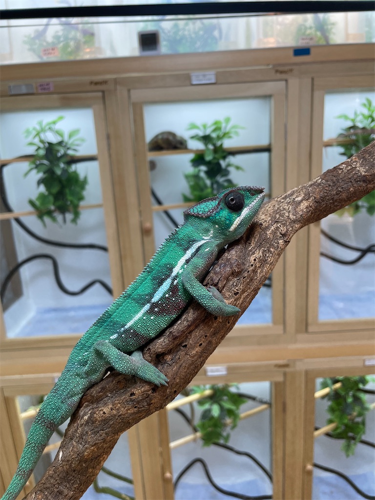 f:id:fandk1017:20231023152322j:image