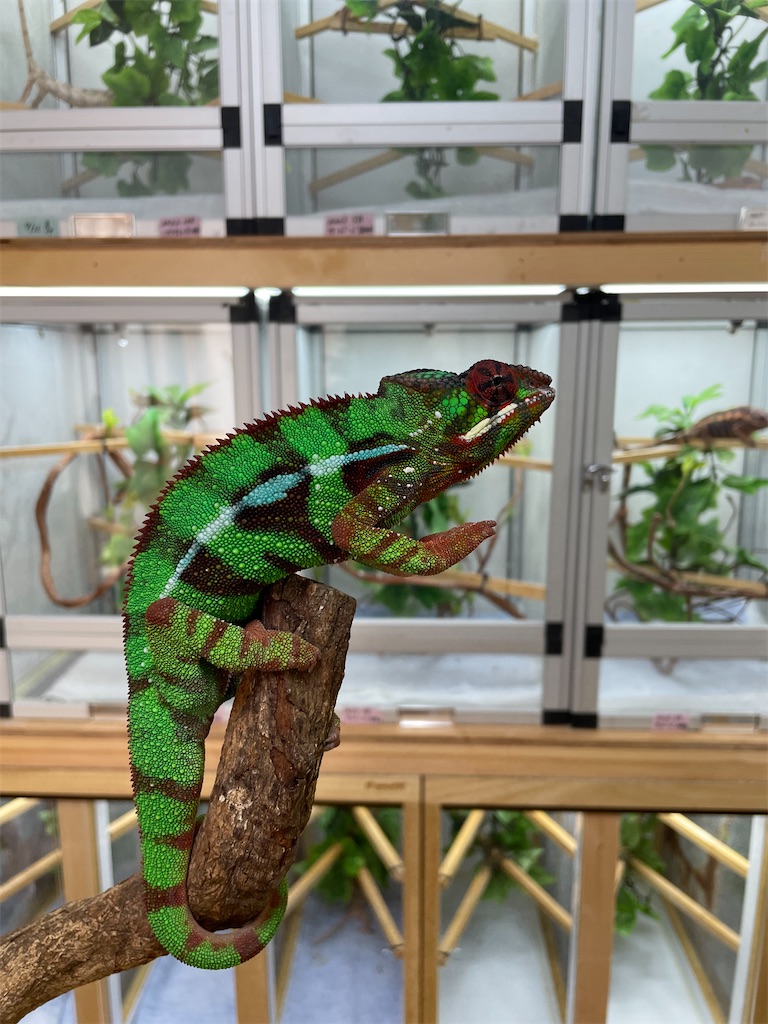 f:id:fandk1017:20231023152326j:image