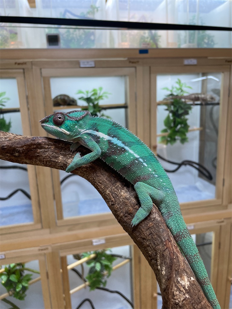 f:id:fandk1017:20231023152329j:image