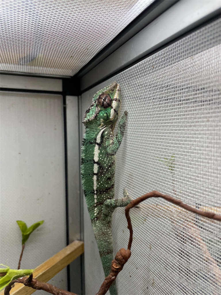 f:id:fandk1017:20231023220106j:image