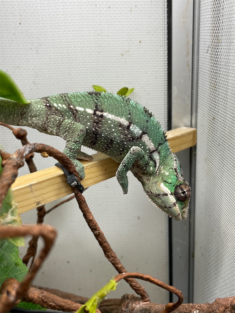 f:id:fandk1017:20231023220109j:image