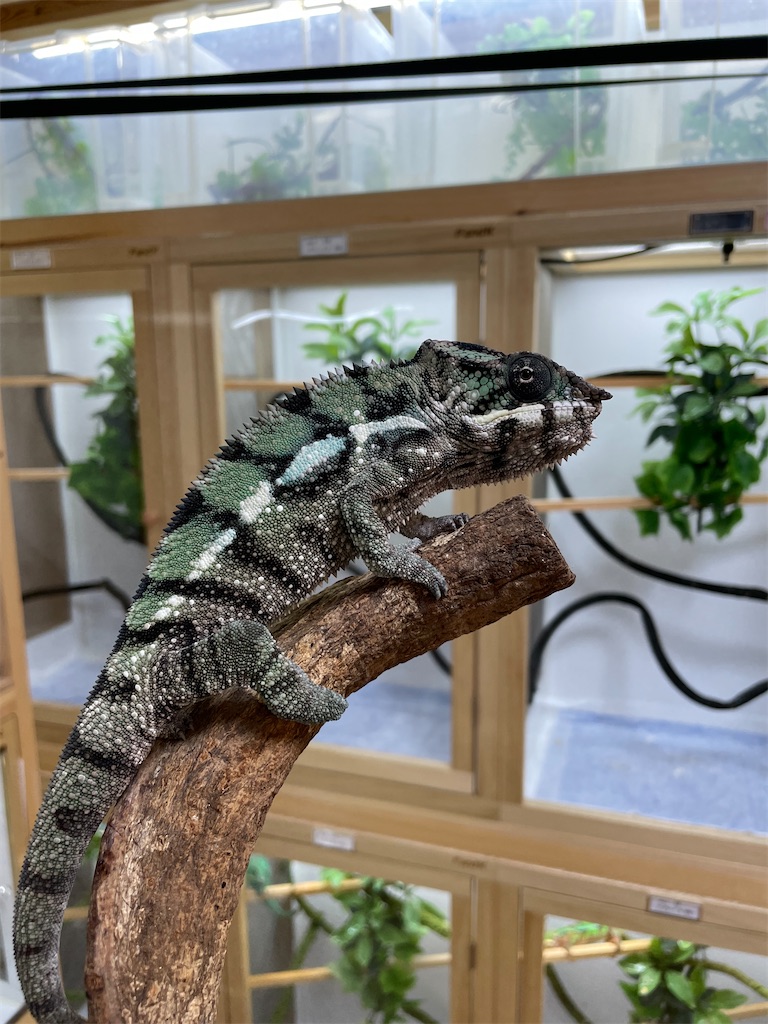 f:id:fandk1017:20231023220121j:image