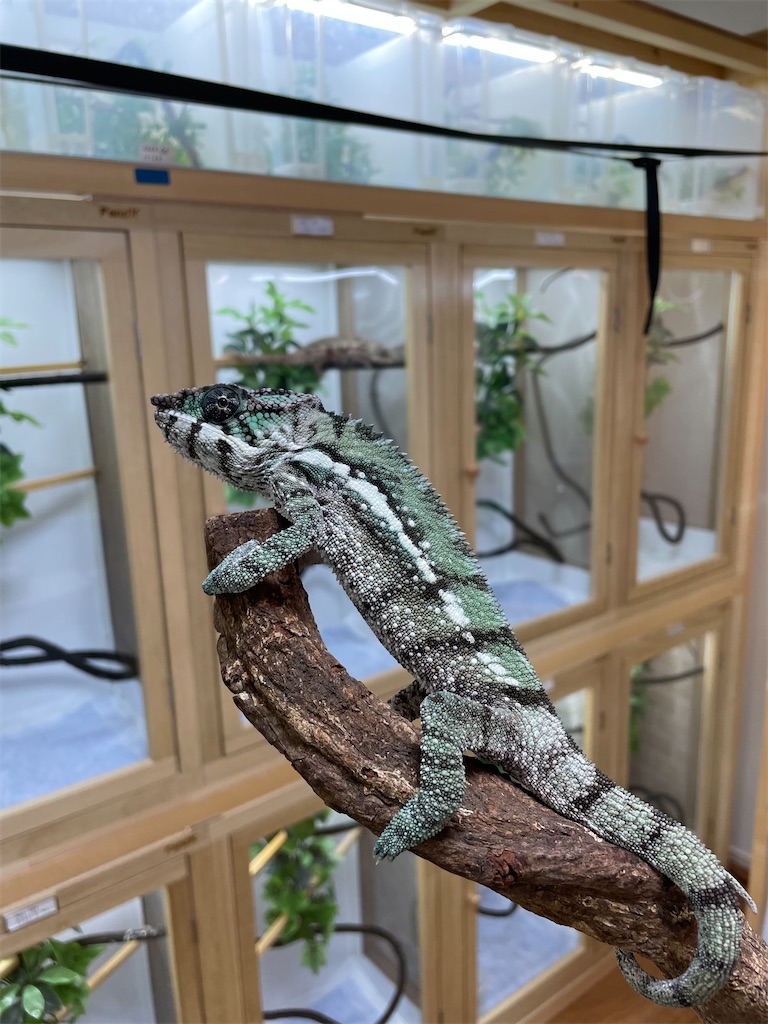 f:id:fandk1017:20231023220127j:image