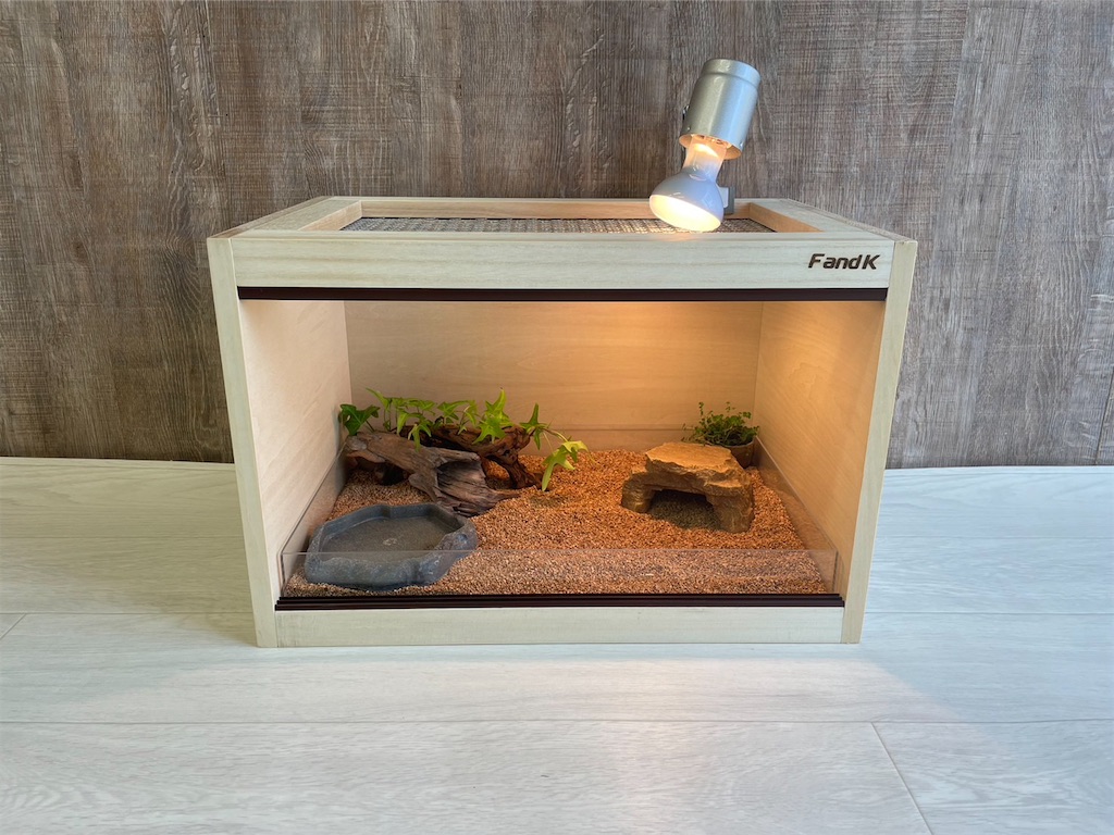 f:id:fandk1017:20231213172232j:image