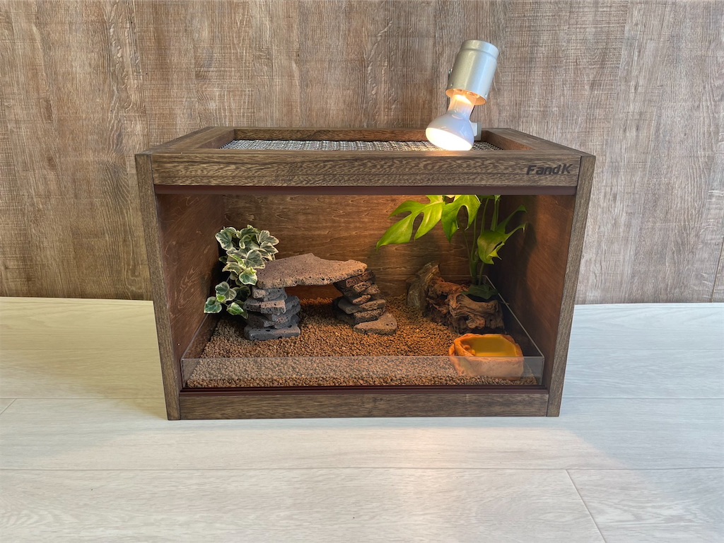 f:id:fandk1017:20240125202700j:image f:id:fandk1017:20240125202700j:image