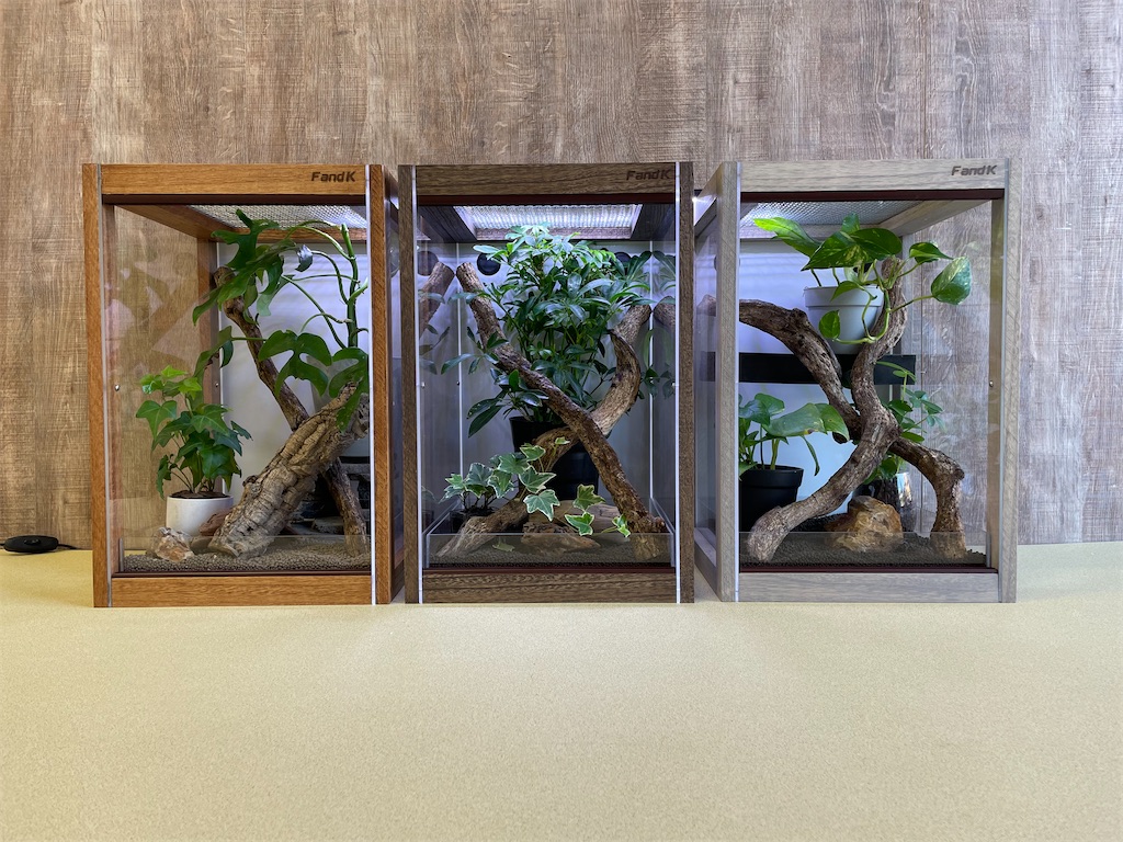 f:id:fandk1017:20240125202929j:image f:id:fandk1017:20240125202929j:image