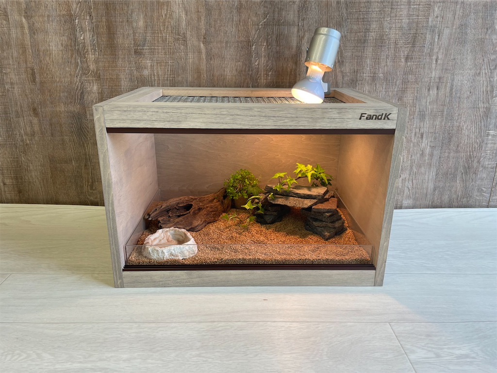 爬虫類ケージ FandK Pieni ウォルナット 爬虫類ケージ FandK Pieni ウォルナット 爬虫類ケージ FandK Pieni