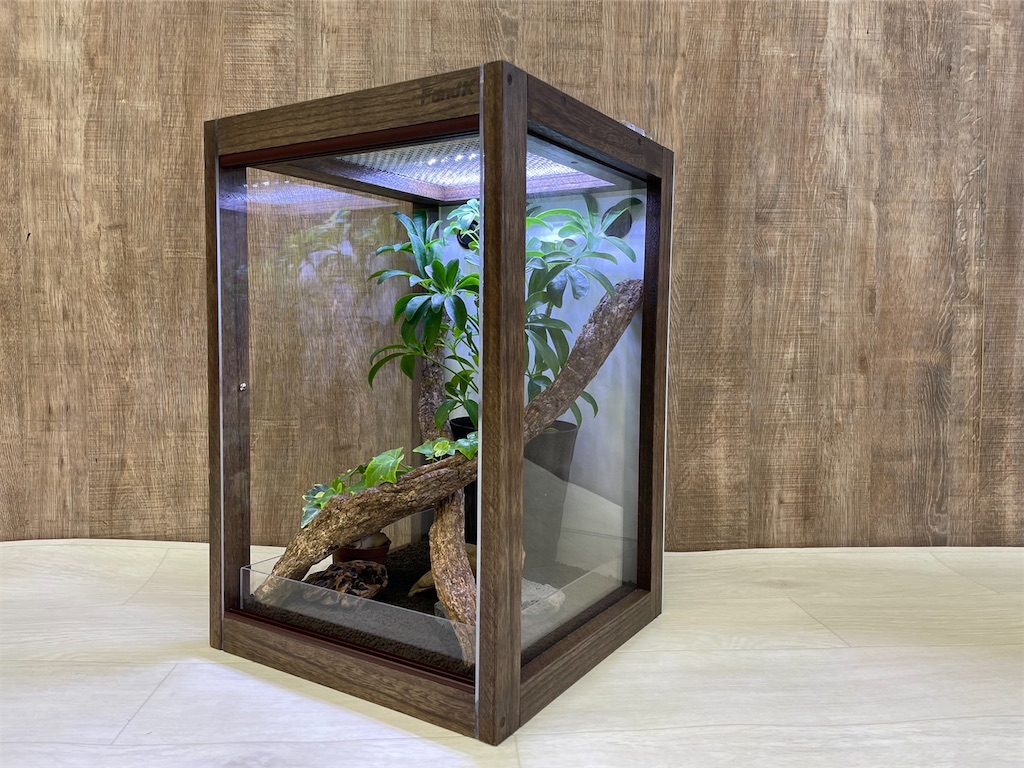 2月24.25日 レプタイルズフィーバー大阪出展致します！ - F and K