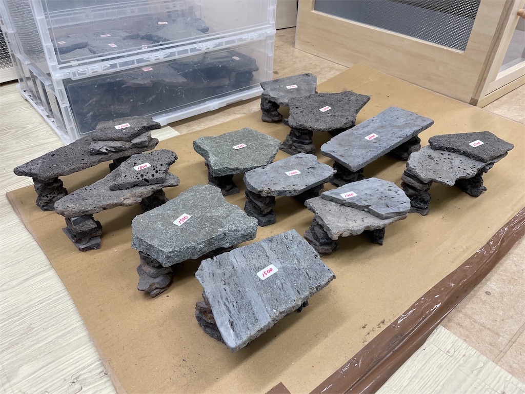 f:id:fandk1017:20240404221839j:image f:id:fandk1017:20240404221839j:image