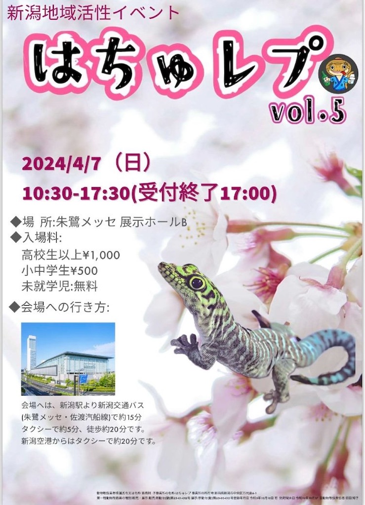 はちゅレプ新潟出展致します！ - F and K 爬虫類・小動物木製ケージ