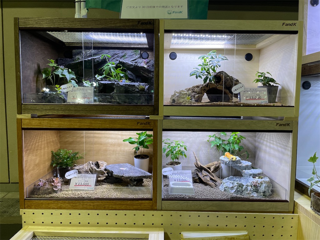 f:id:fandk1017:20240405213226j:image f:id:fandk1017:20240405213226j:image