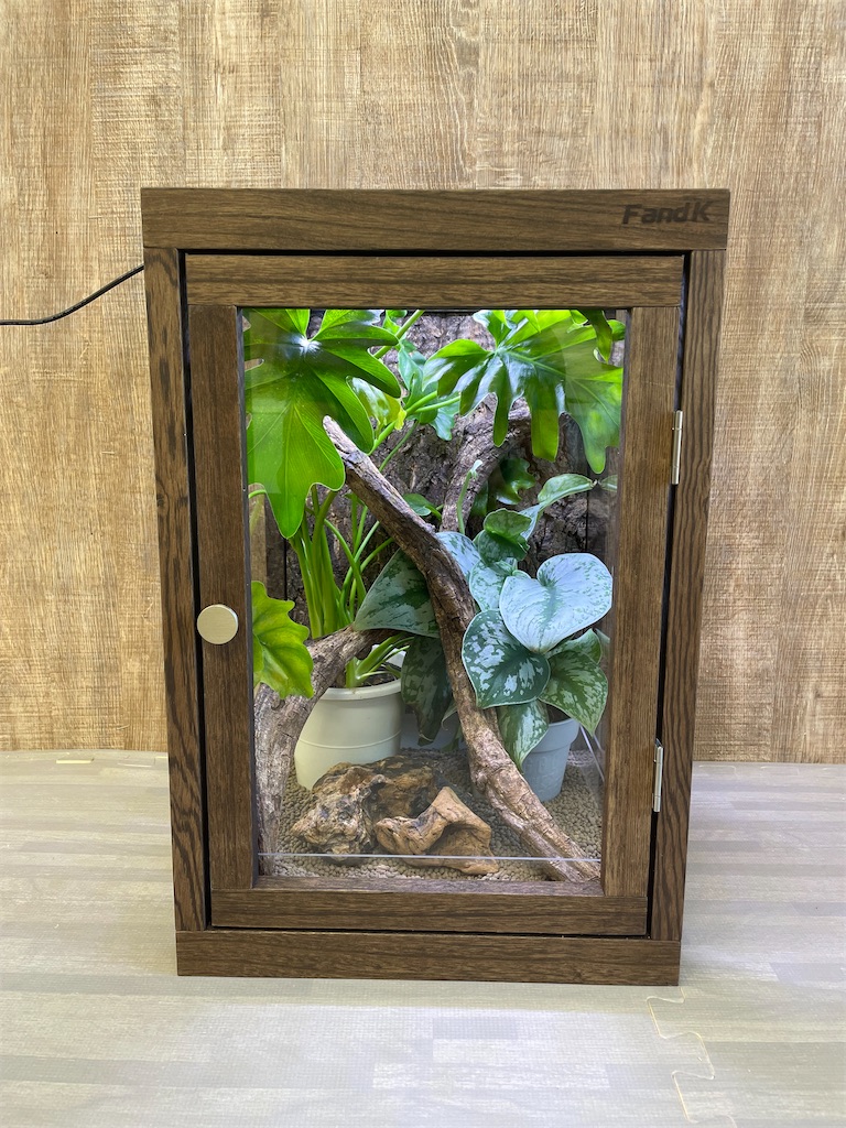 f:id:fandk1017:20240912161959j:image f:id:fandk1017:20240912161959j:image