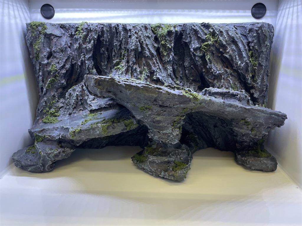 f:id:fandk1017:20240912182645j:image f:id:fandk1017:20240912182645j:image