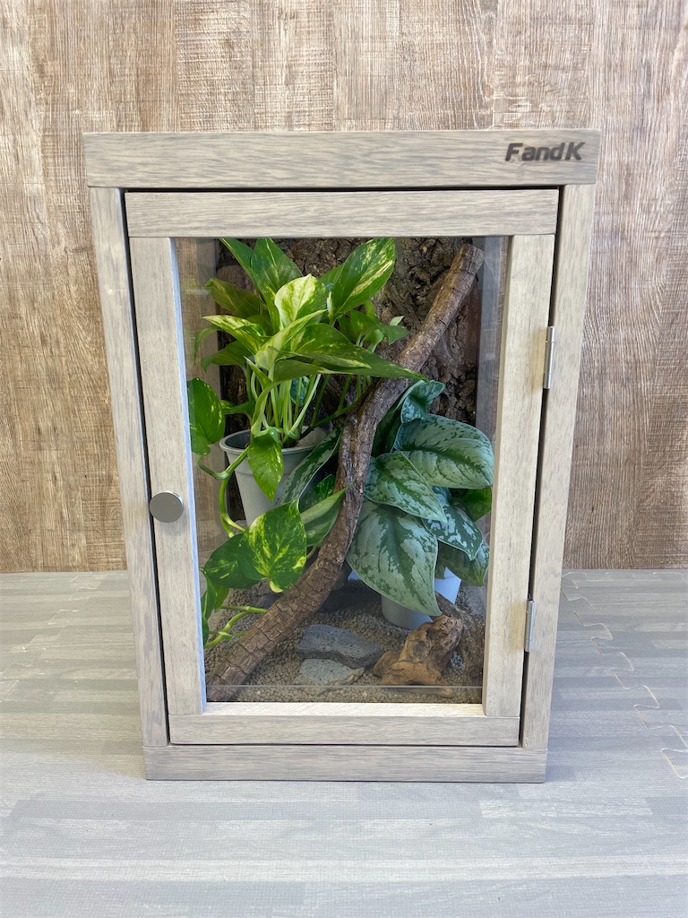 f:id:fandk1017:20241003001221j:image