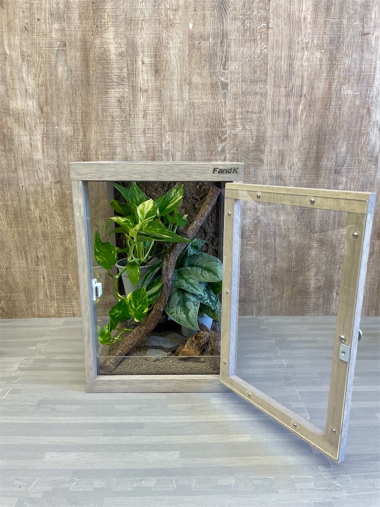 f:id:fandk1017:20241003001229j:image