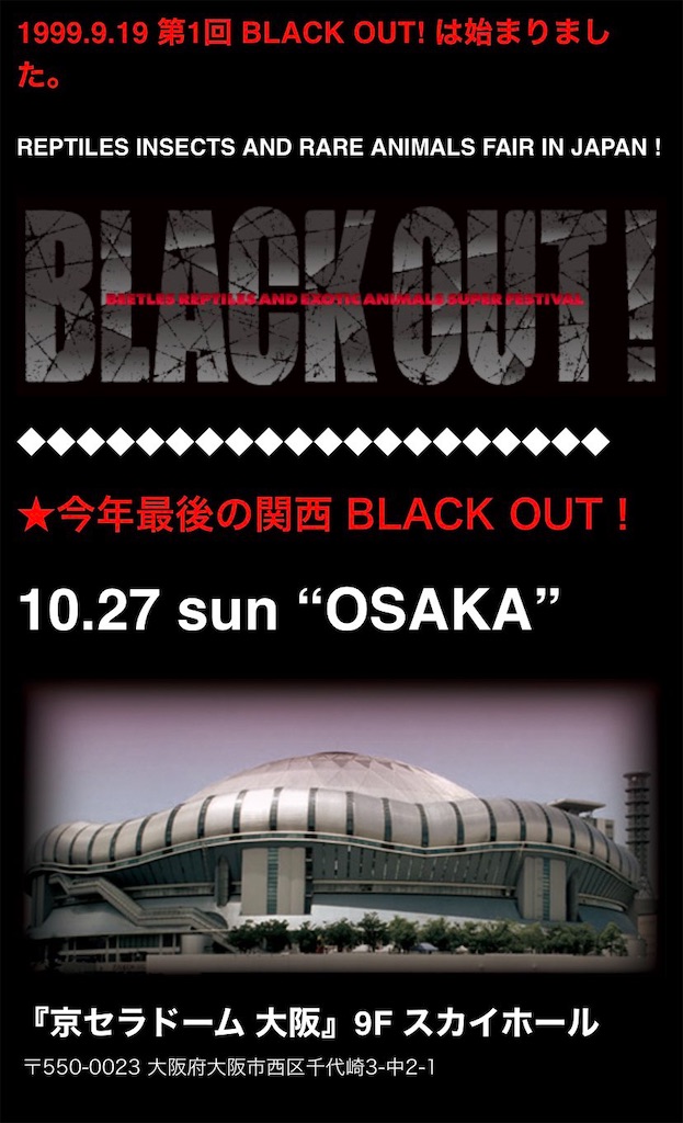 f:id:fandk1017:20241024180136j:image f:id:fandk1017:20241024180136j:image