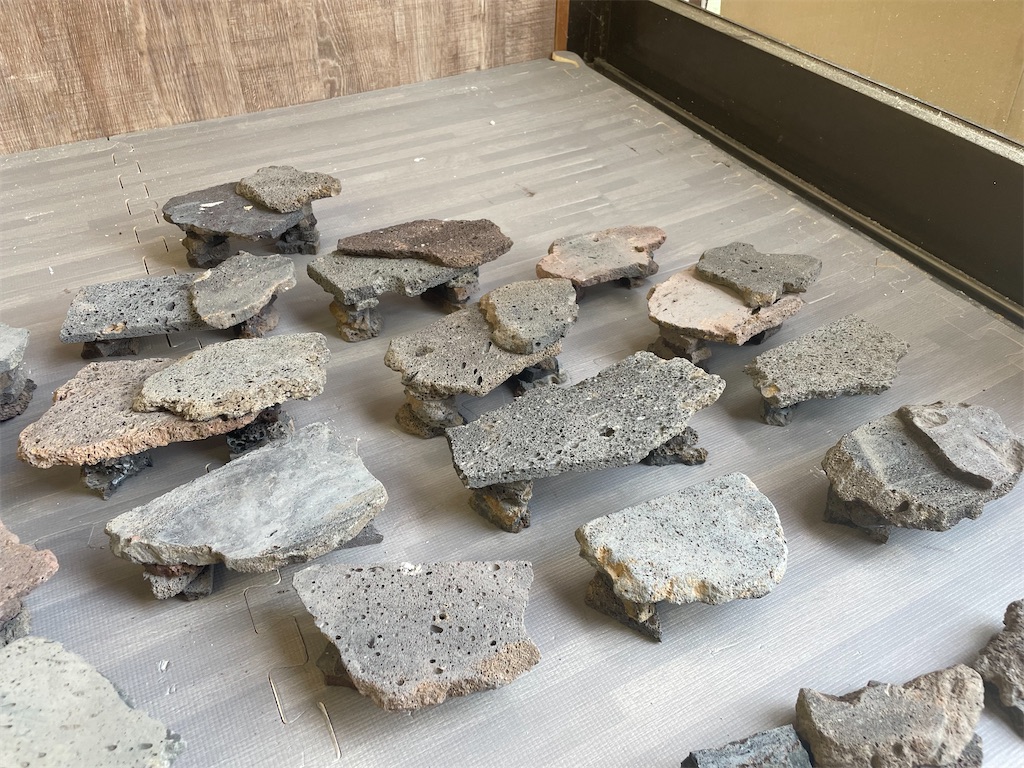 f:id:fandk1017:20241024180329j:image f:id:fandk1017:20241024180329j:image