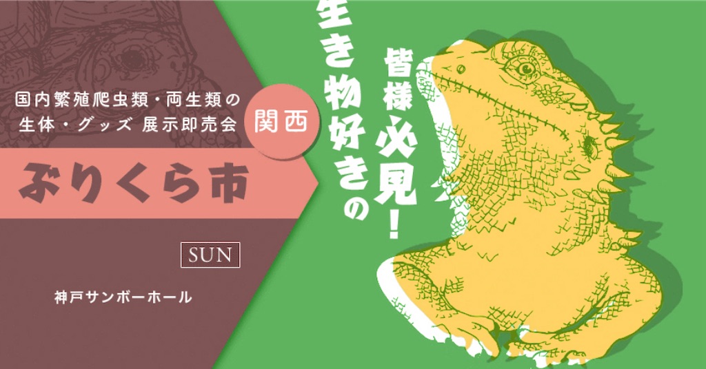 f:id:fandk1017:20241108221317j:image
