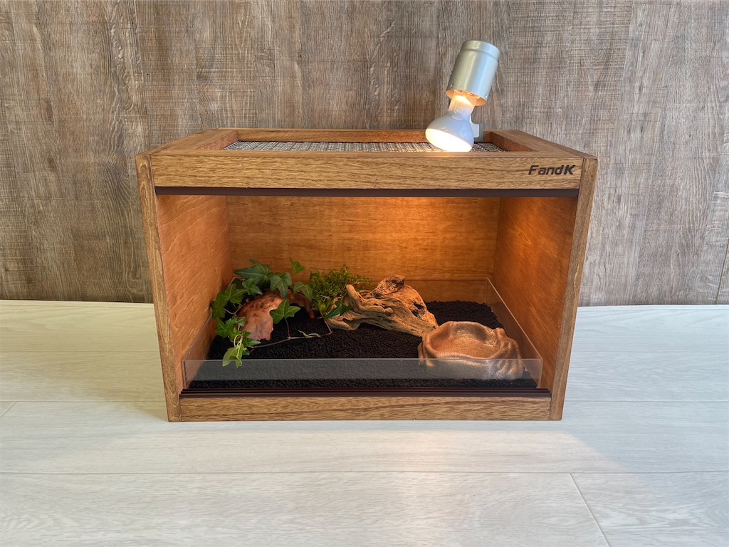 f:id:fandk1017:20241125175159j:image