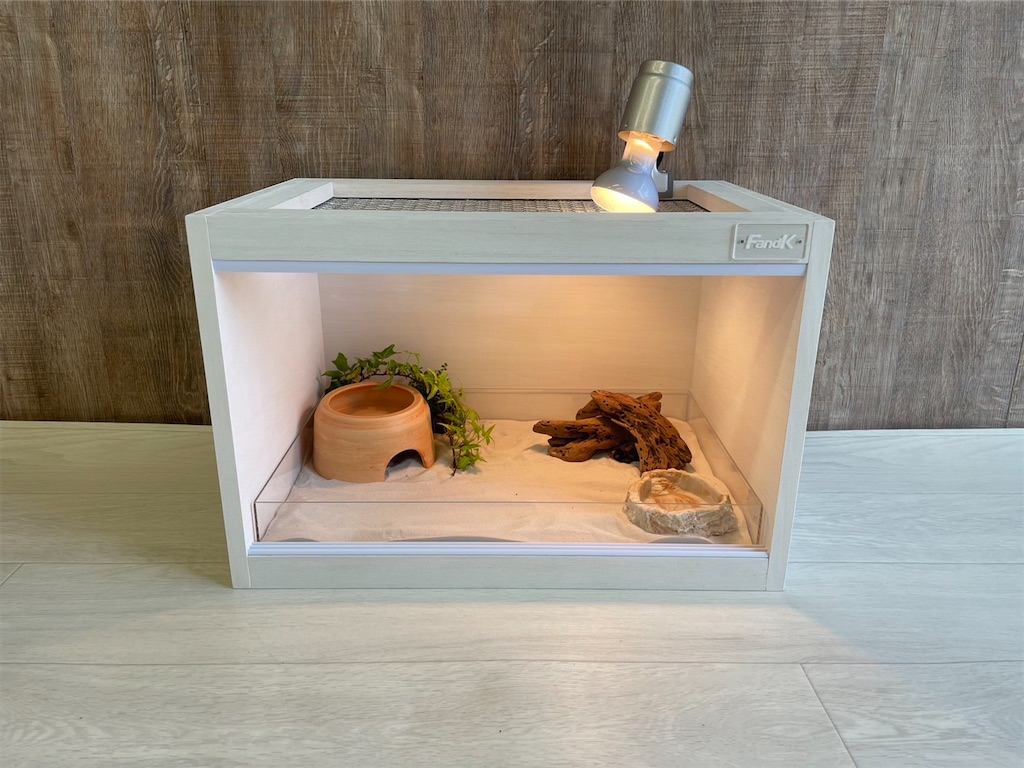 f:id:fandk1017:20241125175207j:image