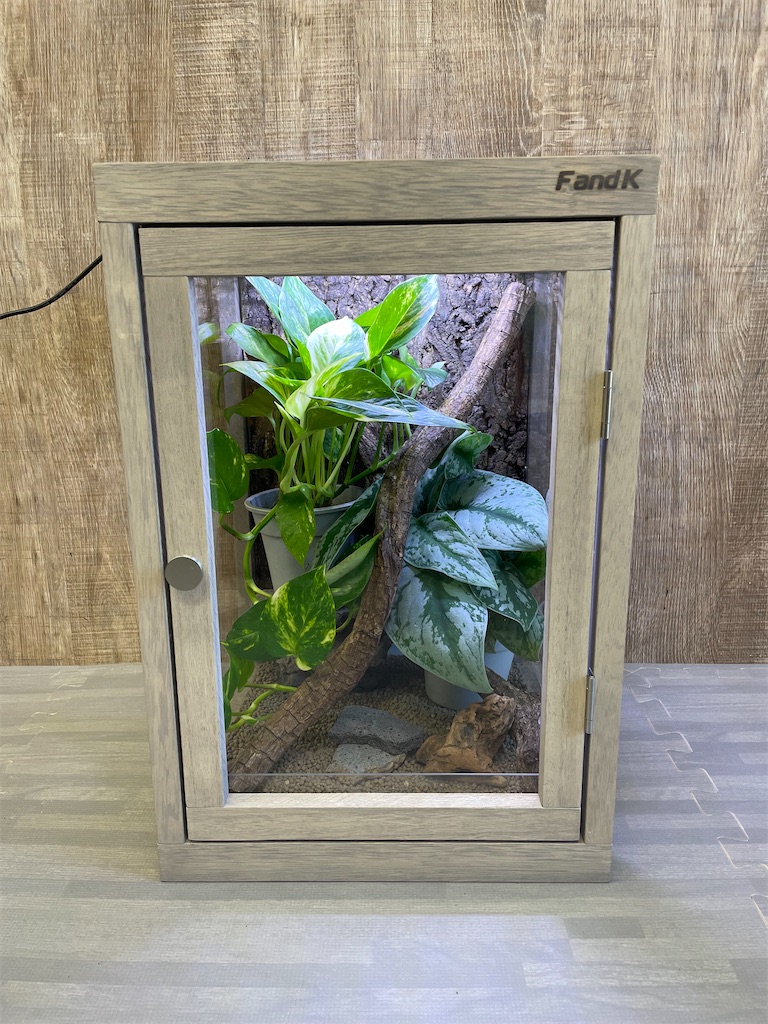 FandK爬虫類木製ケージCouronne(クローヌ)