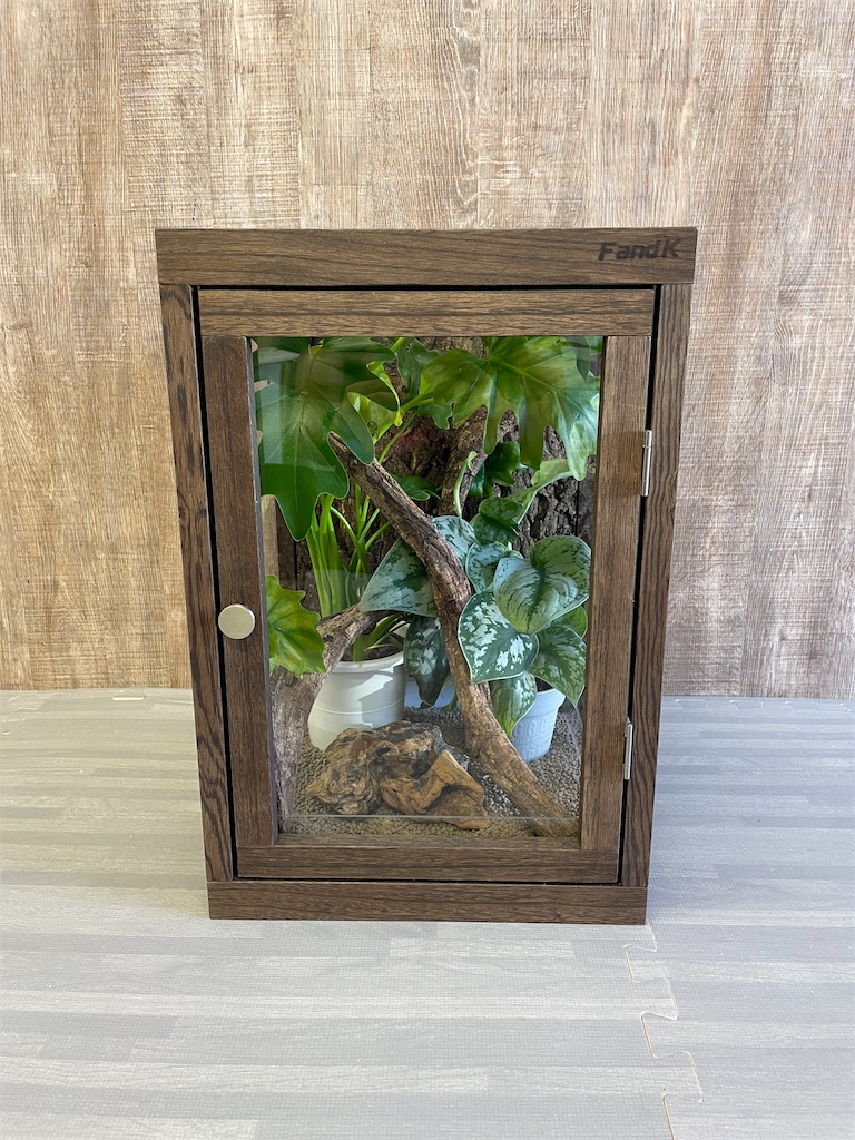 f:id:fandk1017:20241126174908j:image