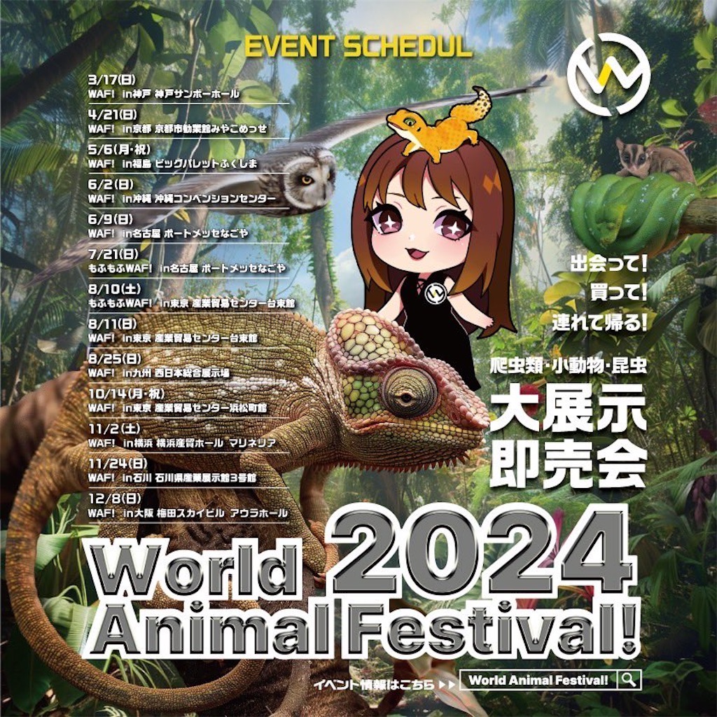 f:id:fandk1017:20241206212436j:image