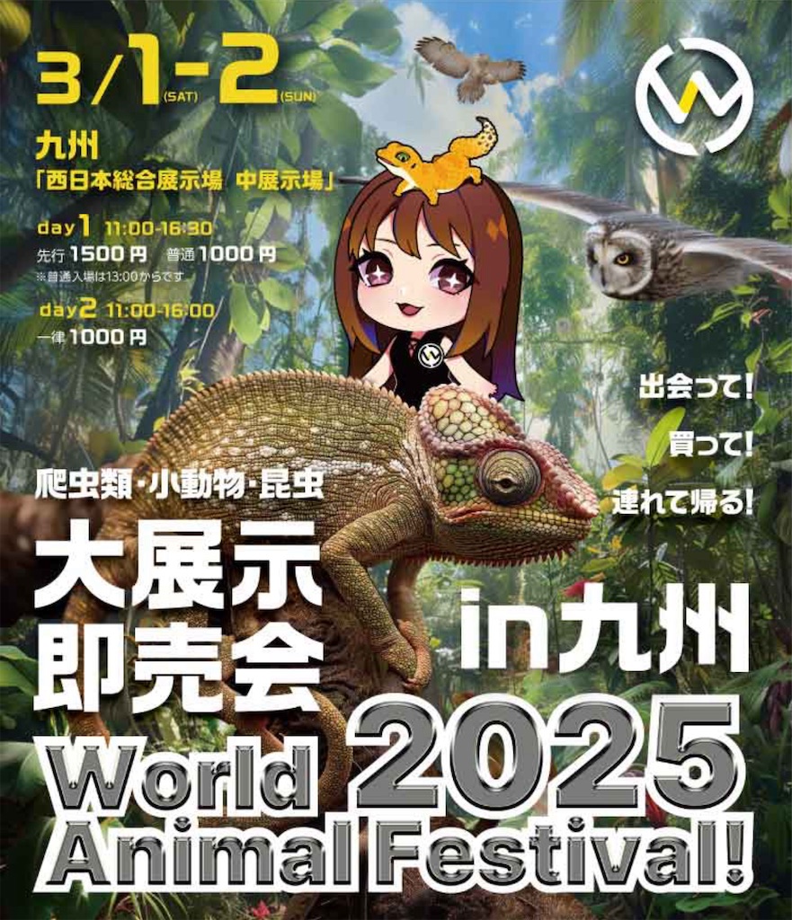 f:id:fandk1017:20250225221749j:image