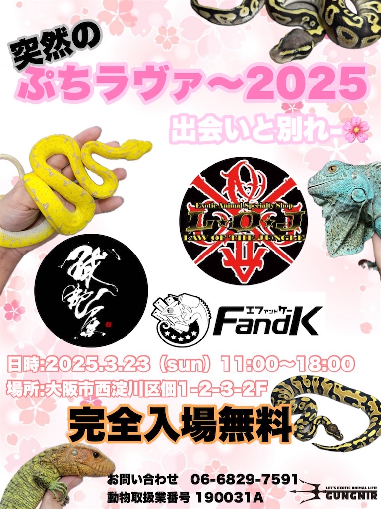 f:id:fandk1017:20250319220950j:image