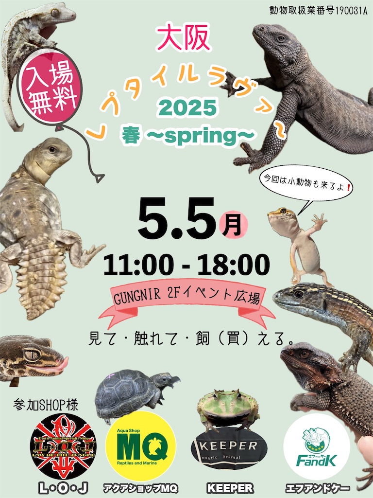 f:id:fandk1017:20250504084934j:image