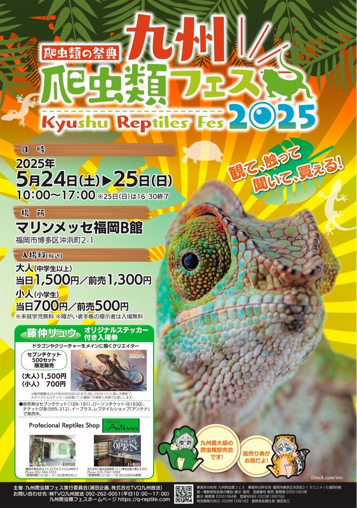 f:id:fandk1017:20250522203435j:image