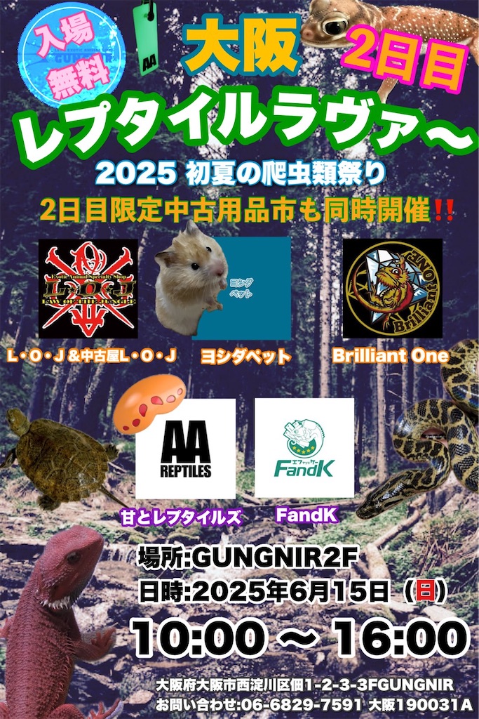 f:id:fandk1017:20250610220337j:image