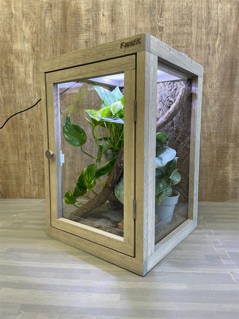 f:id:fandk1017:20250918131027j:image