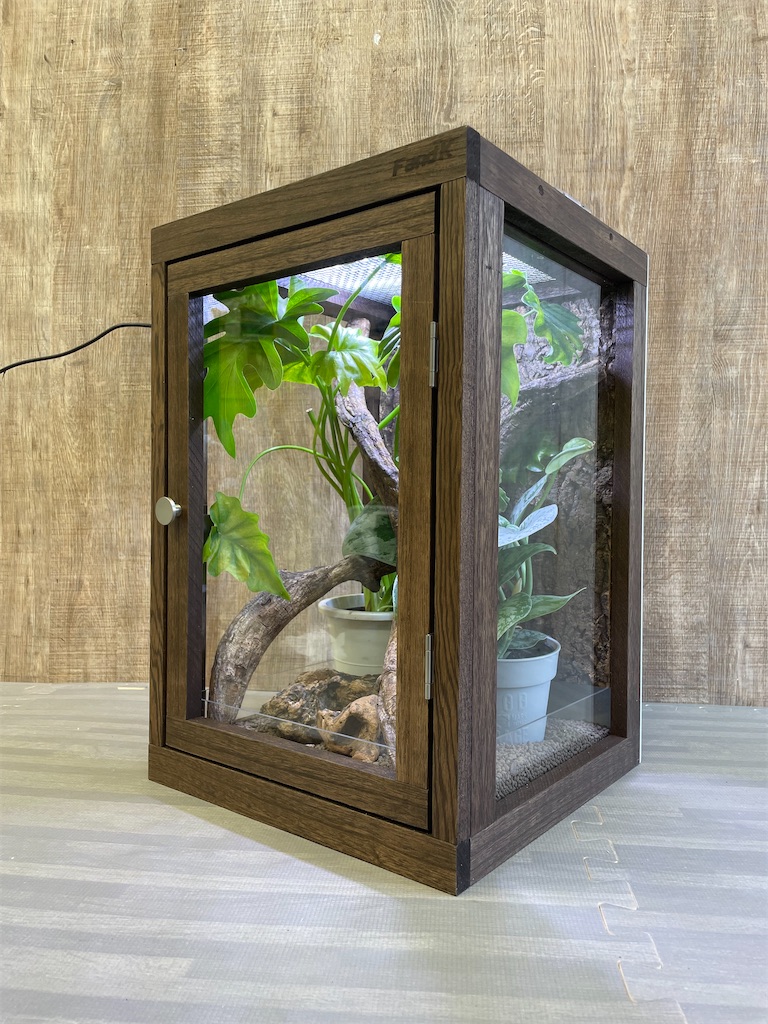 f:id:fandk1017:20250918131030j:image