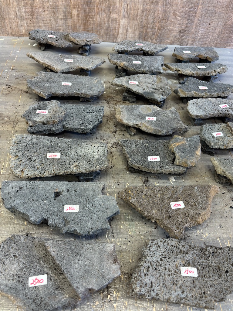 f:id:fandk1017:20250918133054j:image