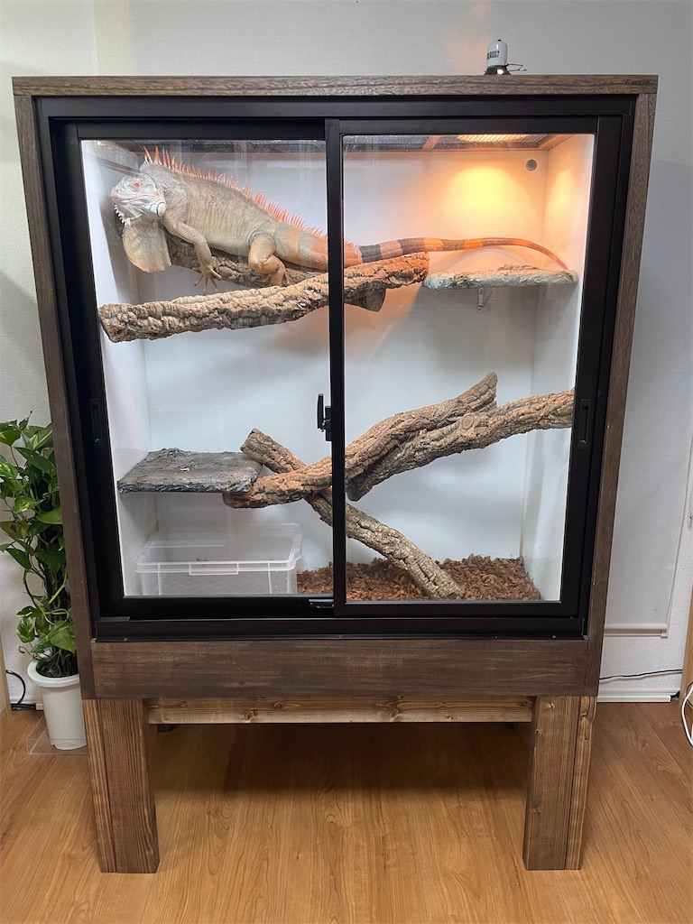 f:id:fandk1017:20250918182940j:image