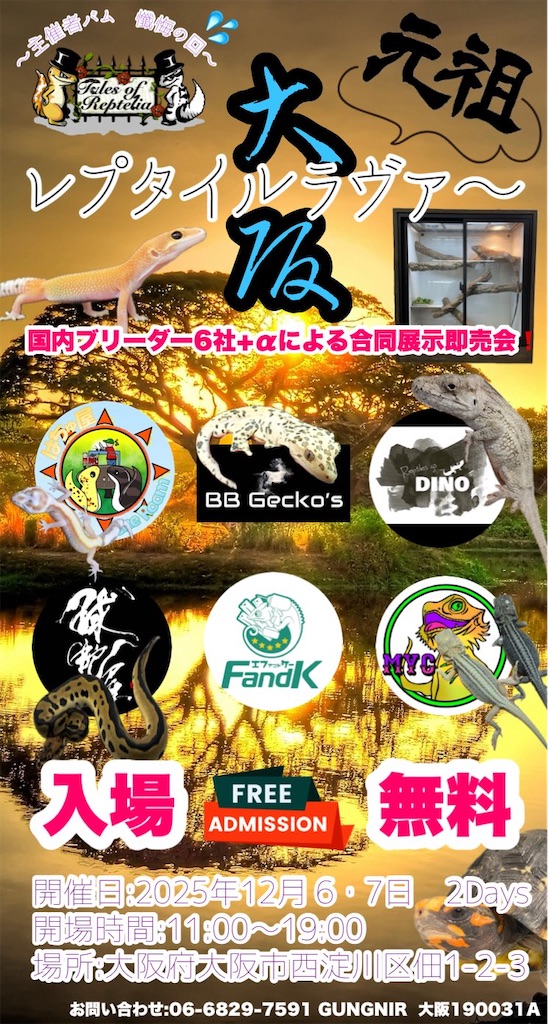 f:id:fandk1017:20251205204424j:image f:id:fandk1017:20251205204424j:image