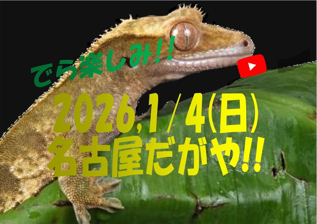 f:id:fandk1017:20251231234938j:image f:id:fandk1017:20251231234938j:image