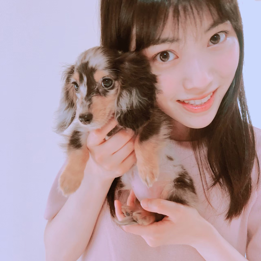 石原夏織と愛犬 むーちゃん 大百科 謎の猫好き 家族内序列 マニアックな溺愛ポイントを語る Artist Fanのwebマガジン Fanthology