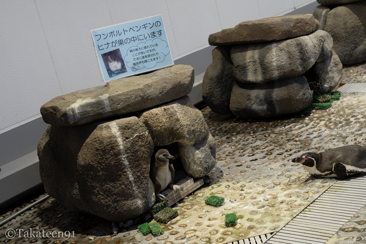 f:id:fantabulous:20190603231903j:plain
