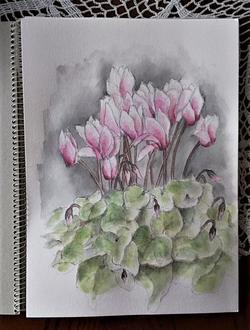 f:id:fantsht:20191223165600j:plain