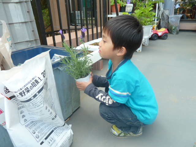 f:id:fantsht:20210518151014j:plain