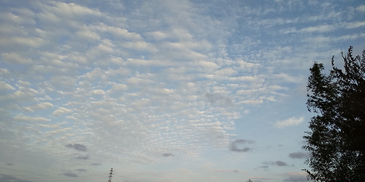 f:id:fantsht:20211021182047j:plain