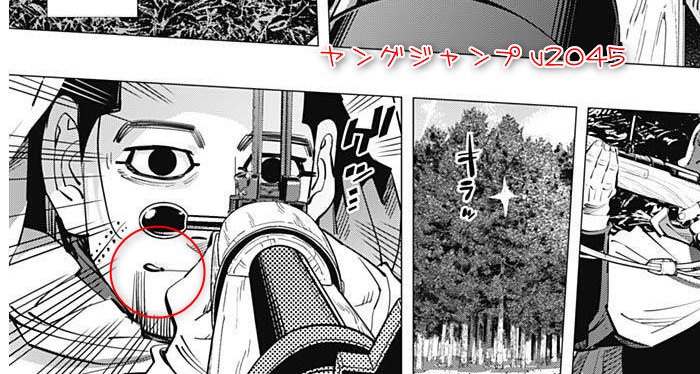 金神30巻の感想 ゴールデンカムイ Day Day