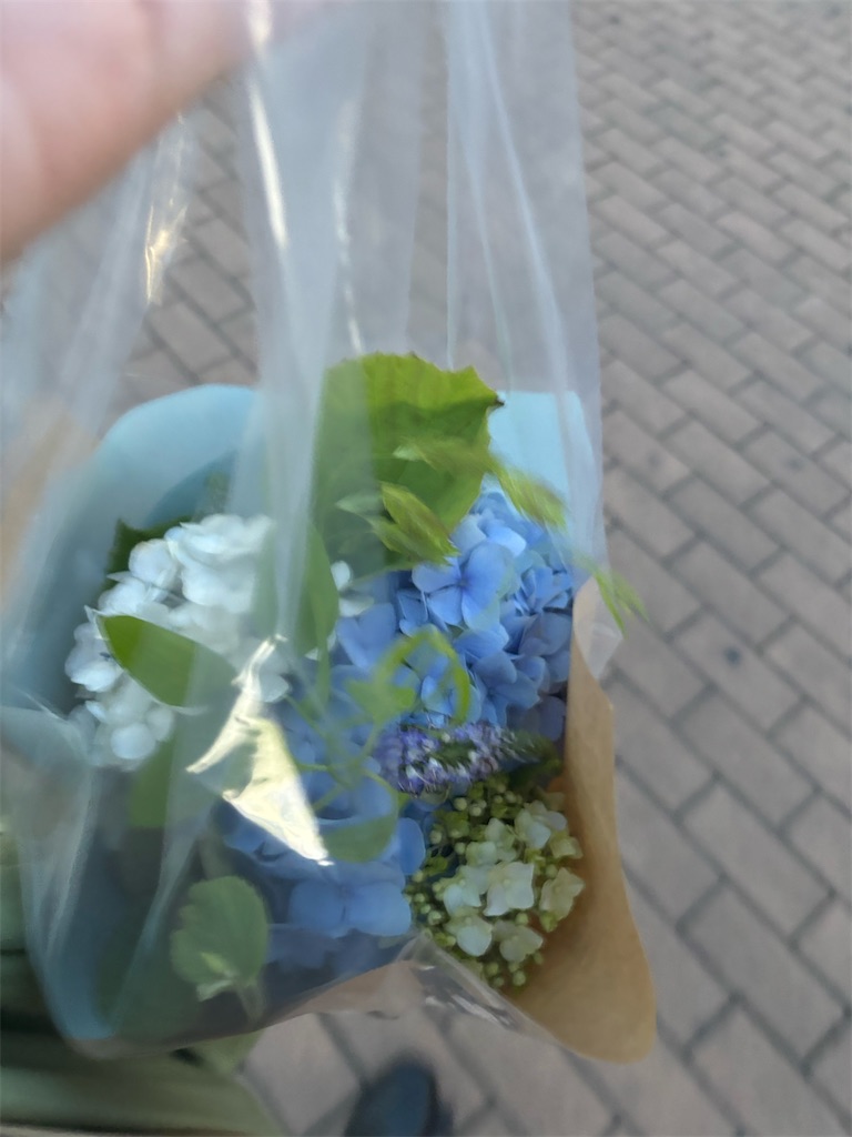 f:id:far_a_way:20240621223940j:image