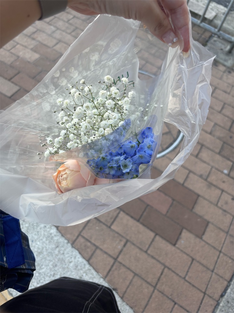 f:id:far_a_way:20250621215059j:image