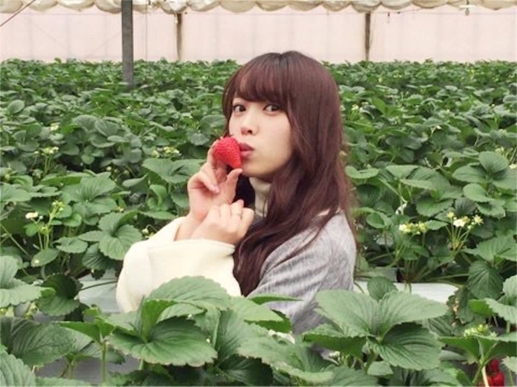 f:id:farenopushisu:20181029151900j:image f:id:farenopushisu:20181029151900j:image
